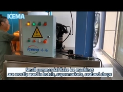 Petite usine de glace de flocon de machine à glaçons de flocon de machine à glace d'eau douce commerciale de flocon pour l'usage d'hôtel