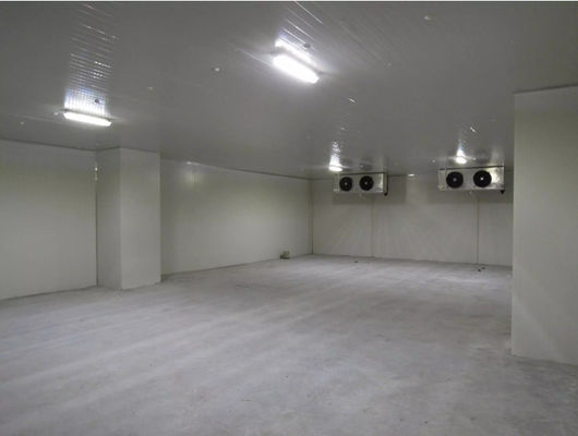 Solution de chambre froide certifiée CE pour maintenir les aliments frais dans l'industrie