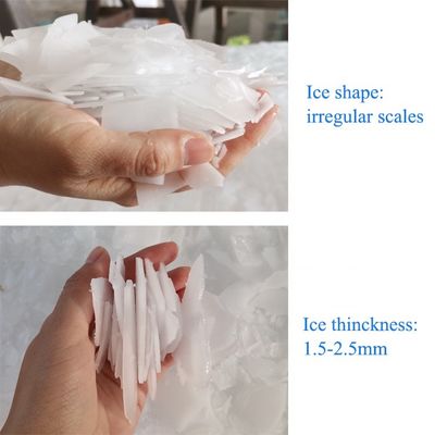 Fabrique ICEMA Fourniture de glace d'eau douce Machine de fabrication de flocons de glace