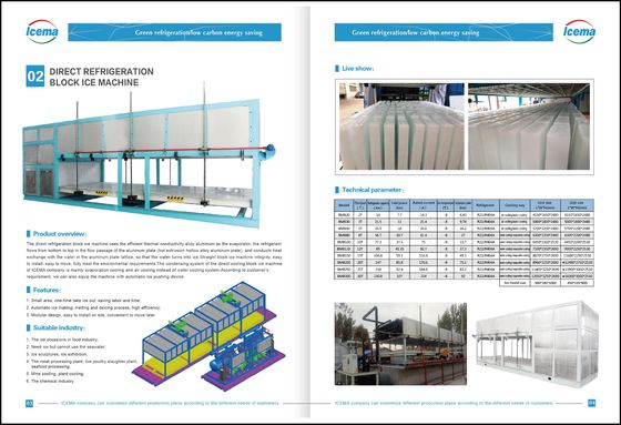 CE 1800W de machine à glace de bloc de refroidissement direct de 5000KG 5T