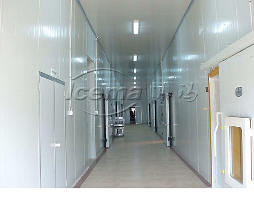 magasins industriels de vêtement d'hôtels du congélateur R404A de la chambre 110v-480v froide