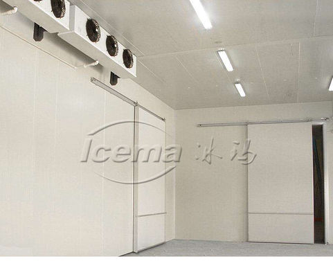 magasins industriels de vêtement d'hôtels du congélateur R404A de la chambre 110v-480v froide