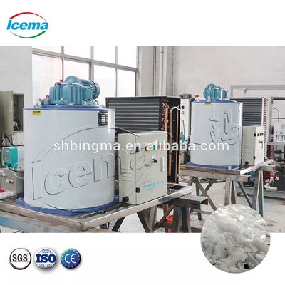 Machine à glace en flocons d'eau douce de 30 tonnes 220V industrielle automatique
