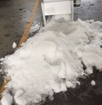 Machine commerciale 200kg/Min d'activité pour briser la glace d'acier inoxydable