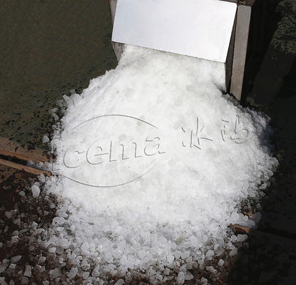 Hôtel commercial extérieur de broyeur à glace de presse-agrumes de ménage