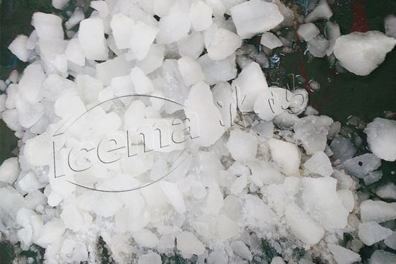 Hôtel commercial extérieur de broyeur à glace de presse-agrumes de ménage