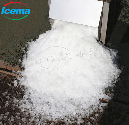 Acier inoxydable de machine de rasoir de glace électrique de ménage