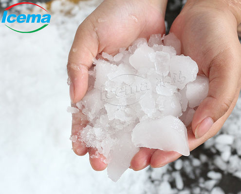 Acier inoxydable de machine de rasoir de glace électrique de ménage