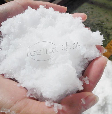 Machine de broyeur à glace d'acier inoxydable 200kg/Min extérieur électrique