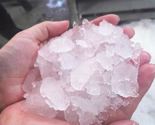 Machine de broyeur à glace de la CE 380V 220V Magasins de boissons Magasins de vêtements