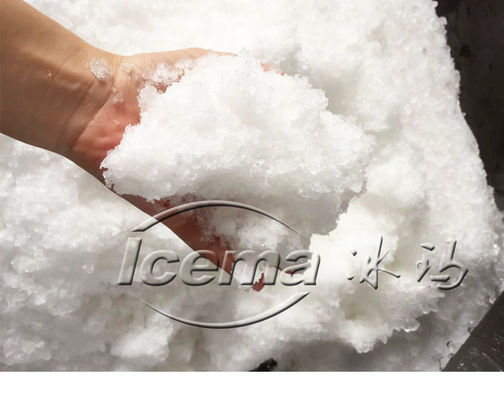 Certificat CE machine de concassage de glace Restaurant/machine à glace concassée sur mesure Restaurant