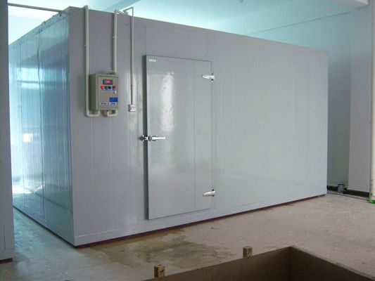 Fish Cold Room Congélateur Chambre à pied dans les chambres froides