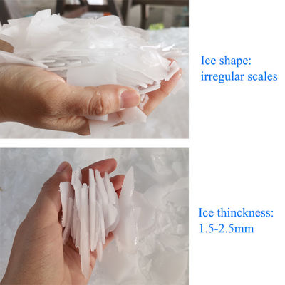 10T/24H eau de mer machine à glace en flocons fabricant de glace industriel commercial installé sur navire