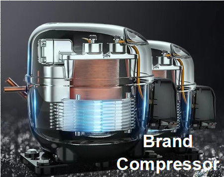 1350L réfrigérateur commercial / congélateur de cuisine / réfrigérateur ultra-grande capacité personnalisé pour restaurant