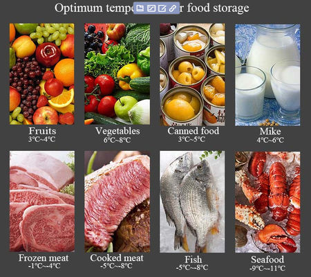 Cuisine commerciale de portes du congélateur 360L 4 de réfrigérateur de réfrigérateur d'acier inoxydable