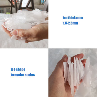 Commercial ICEMA 1T machine à glace industrielle à flocons avec une capacité de réfrigération de 2,1 kW