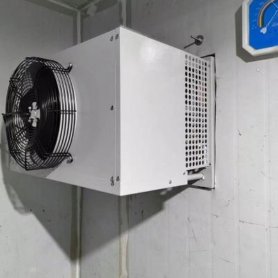 Bon prix Unité de condensation évaporative de congélateur industriel de chambre froide en ligne
